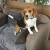 Terry Belcher - @terry.belcher - TikTok
