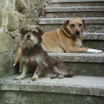 @_terry_bello_ - Instagram
