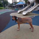 Terry_Bello - @terry_bello_ - Instagram