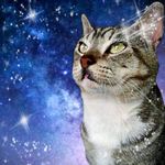 Terry Benfield - @faustphoenix - Instagram