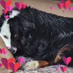 Terry Benner Creamer - @terrybennercreamer - Instagram