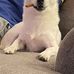Terry Bequette - Facebook