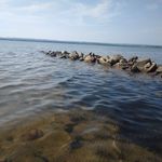 Terry Berkland - @terryberkland - Instagram