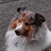 Terry Berkley - Facebook