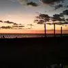 Terry Bernal - @terry.bernal - TikTok