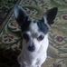 Terry Bert - Facebook
