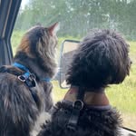 Terri Berube Bozok - @berubebozok - Instagram