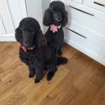 Terry berube - @terry10t - Instagram