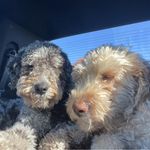 Terry Bettis - @twb2077 - Instagram