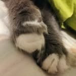 Terry Bianchi - @teresa58618 - Instagram