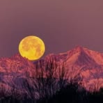 Terry Bianchi - Facebook
