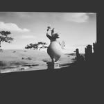 terry - @terrybianchi_ - Instagram