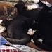 Teresa Bickford - Facebook
