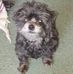 Teresa Holton Bickford - Facebook