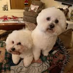Terri Bickham - @tjbick04 - Instagram