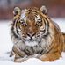 Terry Bickham - Facebook