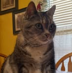 Terry Bigler - Facebook