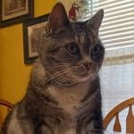 Terry Bigler - @terry.bigler1 - Instagram