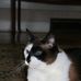 Teresa Bilderback - Facebook
