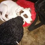 Terry Billman - @terrybillman - Instagram