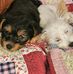 Terri Binder - Facebook