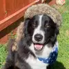 Terry - @gingerbinger_ - TikTok