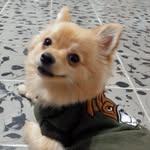 Terry Blanco🤍🐶 - @terry_blanco29 - Instagram