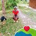 Terry Blessing - Facebook