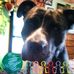 Teresa Blizzard - Facebook