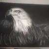 Terry Bloomfield - @terry.bloomfield - TikTok
