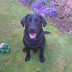 Terry Bloxham - Facebook