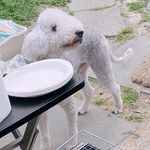@terry._.bly - Instagram