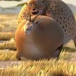 Jarred Terry Boardman - @jarred_boardman - Instagram