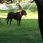 Terry Boardman - @terryboardman - Instagram