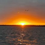 Terry Bobo - @terry.bobo.921 - Instagram