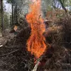BigCat - @janterryinboden - TikTok