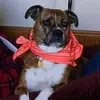 Terry Inboden - @terryinboden - TikTok