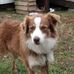 Terry Bolding - Facebook