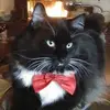 terrybolduc1 - @terrybolduc1 - TikTok
