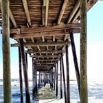 Terri Boles - @terri.boles.96 - Instagram