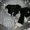 Terry Bolin - @terry.bolin - TikTok