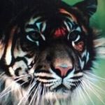 Terry Bollinger - @bollingerterry - Instagram