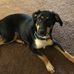 Terry Bollinger Kelly - Facebook