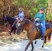 Terry Bookman - Facebook