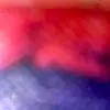 Terry Bookman - @terrybookman - TikTok