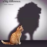 Terry Booster - @terry.booster - Instagram