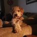 Terri Borger - Facebook