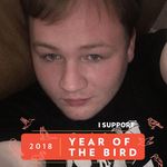 Terry Bork - @stargryfn - Instagram
