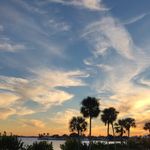Terri Young Bortz - @tlbortz101 - Instagram