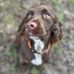 Terri Bosher - Facebook